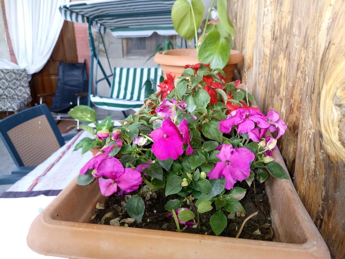 גורי Tamar Guest House מראה חיצוני תמונה